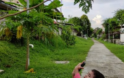 Lorong Belakang Rumah