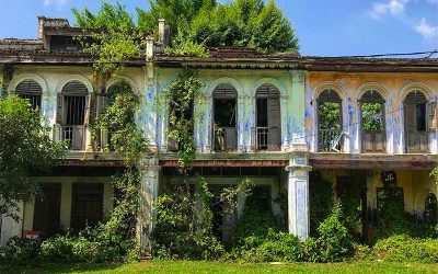 Chapter 3: Downtown-Ecologies of Concrete Jungles