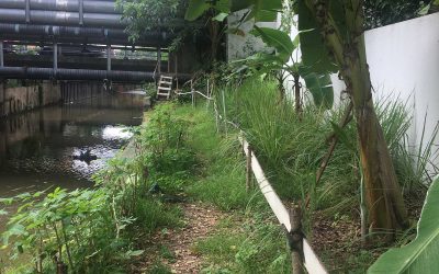Chapter 4: Petaling Jaya-Ecologies of Hutan/Taman