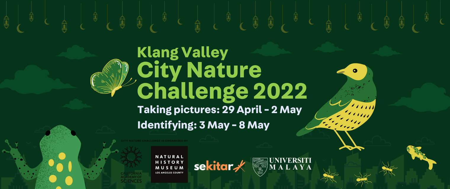 KVCNC 2022 (1)